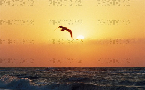 The black sea near the danube river delta, ukraine.