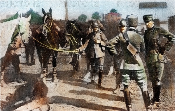 World War One 1915 1918 Italy at war 1915 Isonzo offensive