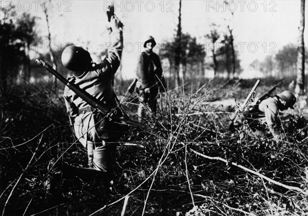 Western Front, Germany - France, 1916.