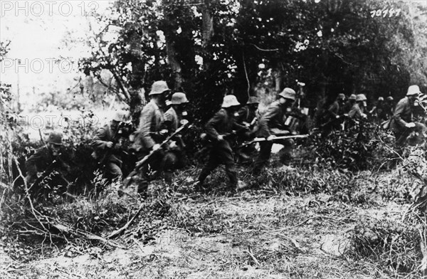 Western Front, Germany - France, 1916.