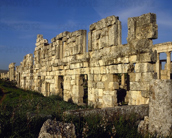 Remains of the houses near the Colonnade street