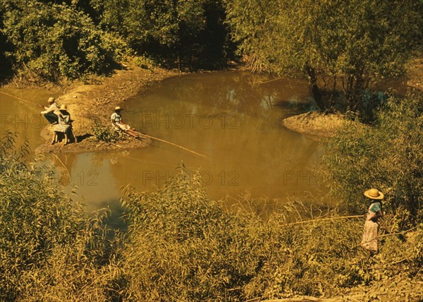 Negroes fishing in creek near cotton plantations outside Belzoni, Miss.