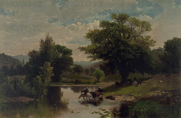 Summer Landscape