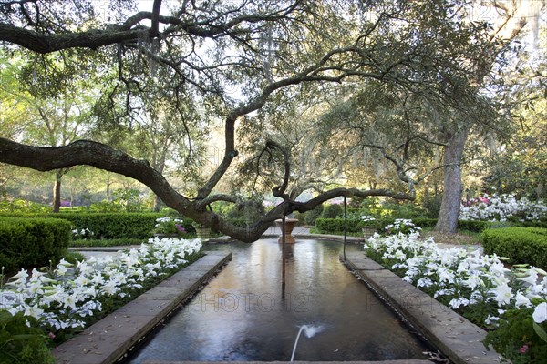 Bellingrath Gardens and Home