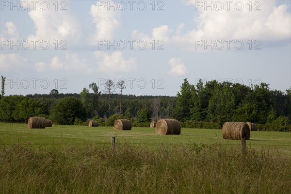 Hay bales dot the landscape