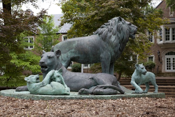 Lion Sculpture