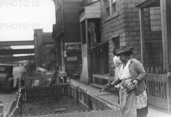 Negro woman painting the fence on her "pavement garden," Black Belt, Chicago, Illinois