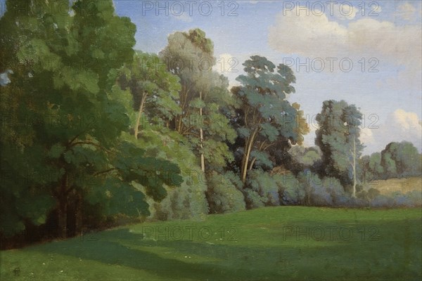 Study of Trees at Mortefontaine