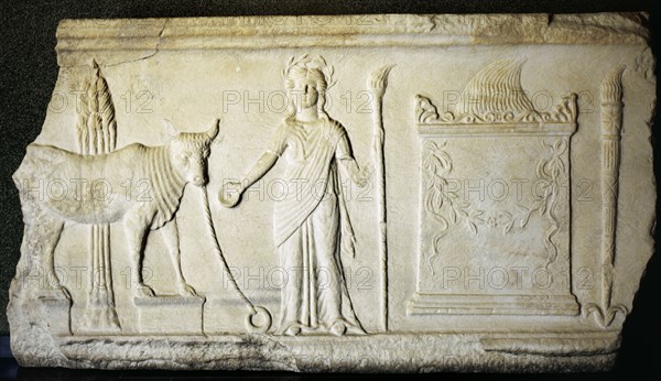 Sacrifice of a bull to the Demeter goddess.