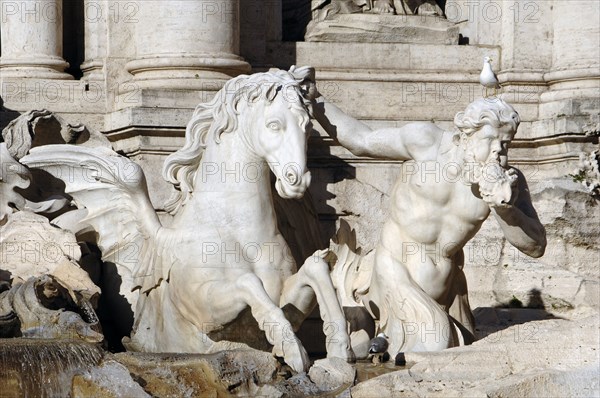 Trevi Fountain. Triton with a sea shell.