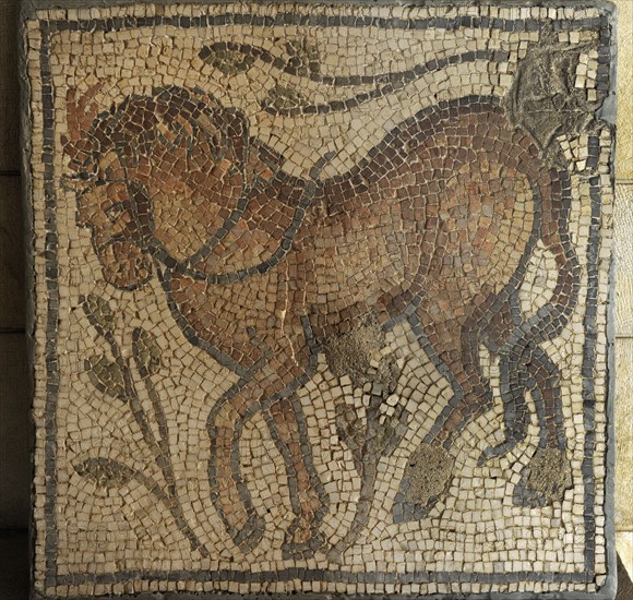 Mosaic, Beit Guvrin.