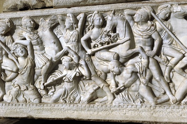 Battle between the Amazons and the Greeks.