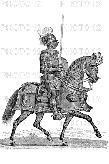 Knight in complete splendor armour on horse  /  Ritter in vollständiger Prunkrüstung zu Pferd