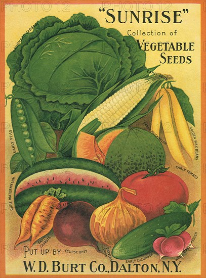 Vegetables