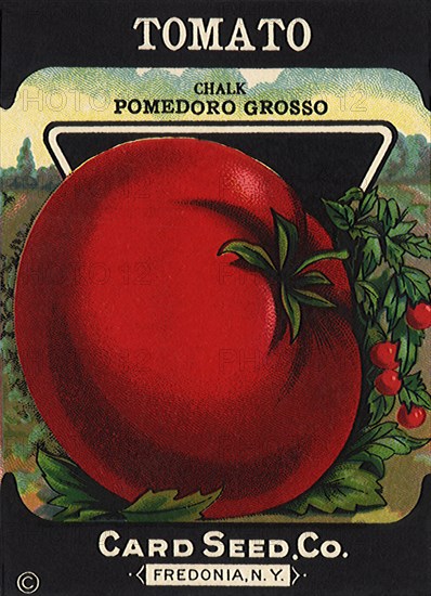 Tomato Seed Packet