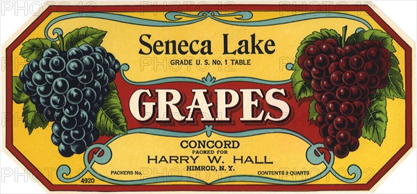 Black and Red Grape Label