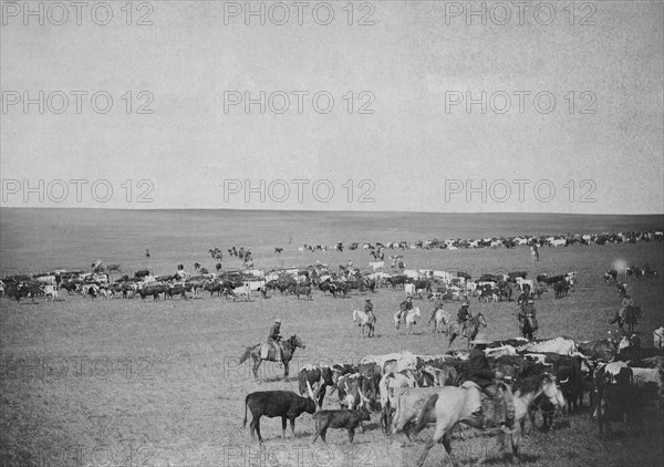 Round-up scenes on Belle Fouche in 1887.