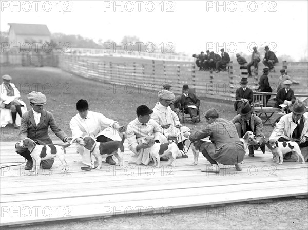 Judging dogs at the National Beagle Club of America