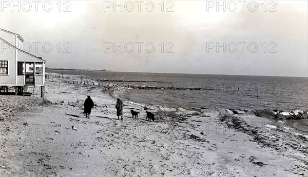 two women walking with their dogs on the shore at Hawkes Nest Beach in Old Lyme Connecticut