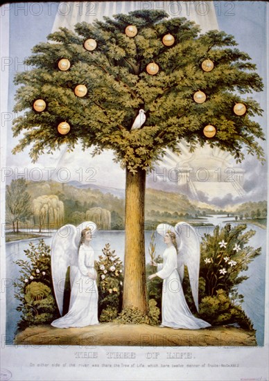 The tree of life on either side of the river