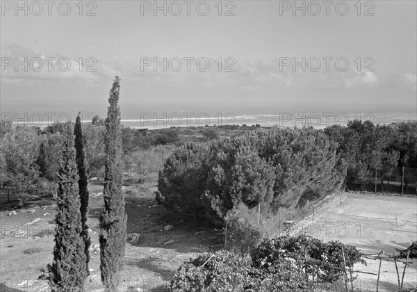 The vintage season at Zikh'ron Ya'aqov, July 24, 1939. Dora Schawrz's Recreation House, Zikhron Ya'akov ca. 1939