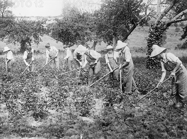 Women farmers using hoes in a field ca.  between 1910 and 1920