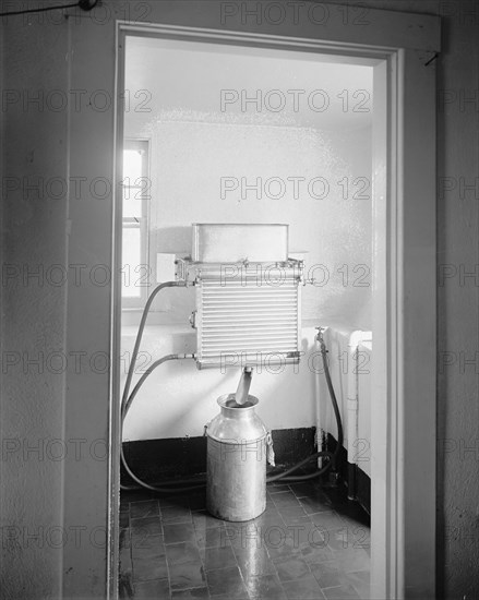 Chestnut Farms Dairy interior, [Washington, D.C.] ca.  between 1910 and 1926