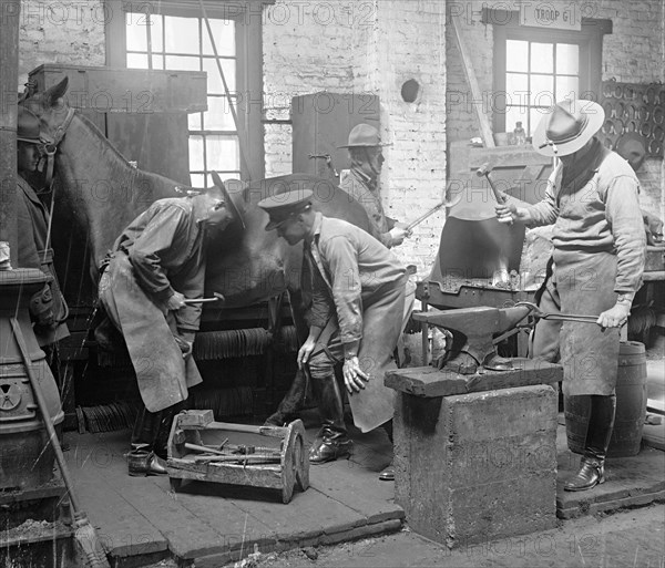 Soldiers shoeing a horse ca. between 1909 and 1923