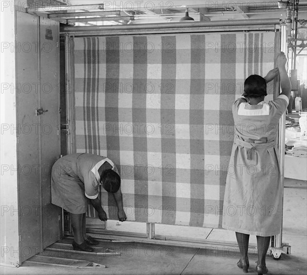 African American women workers at the Tolman Laundry, Washington. D.C. ca. between 1909 and 1923