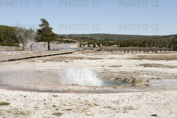 East Mustard Spring, Biscuit Basin in Yellowstone National Park; Date:  28 April 2015