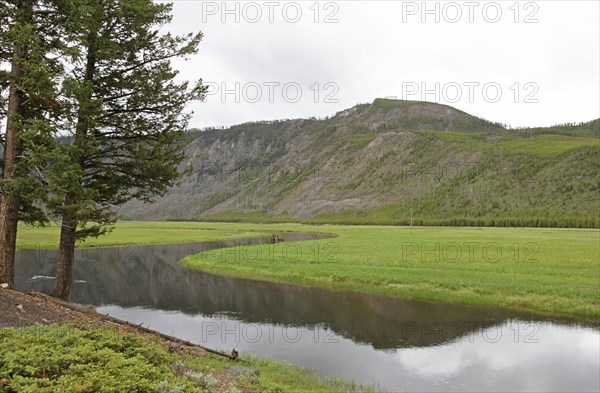 Madison River along the West Entrance Road in Yellowstone National Park; Date: 17 June 2014