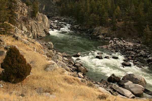 Yellowstone River in Black Canyon in Yellowstone National Park; Date: 15 November 2008