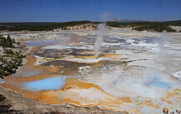 Porcelain Springs in Norris Geyser Basin in Yellowstone National Park; Date: 3 August 2013