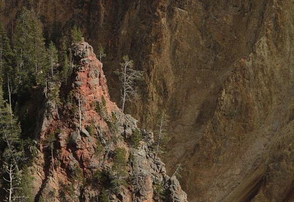 Red Rock - Grand Canyon of the Yellowstone in Yellowstone National Park; Date: 11 September 2014