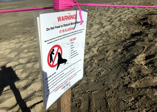 A sign advises beachgoers to avoid disturbing marine wildlife after an unusual number of ill or deceased marine wildlife washed up on Ventura and Santa Barbara county beaches