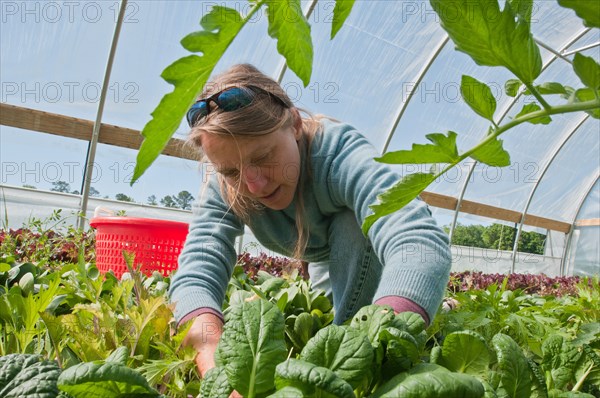 2011 USDA Visit to Amy's Organic Garden in Charles City