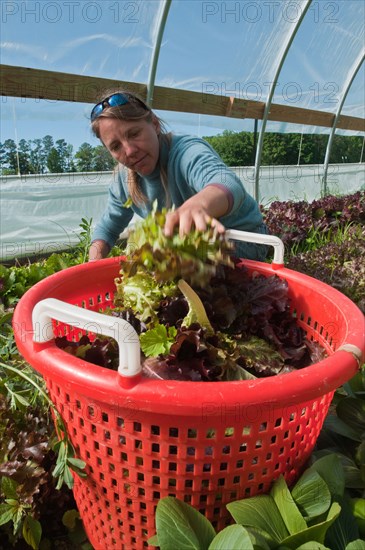 2011 USDA Visit to Amy's Organic Garden in Charles City