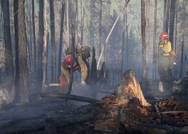 August 2011 Washington State Wildfires