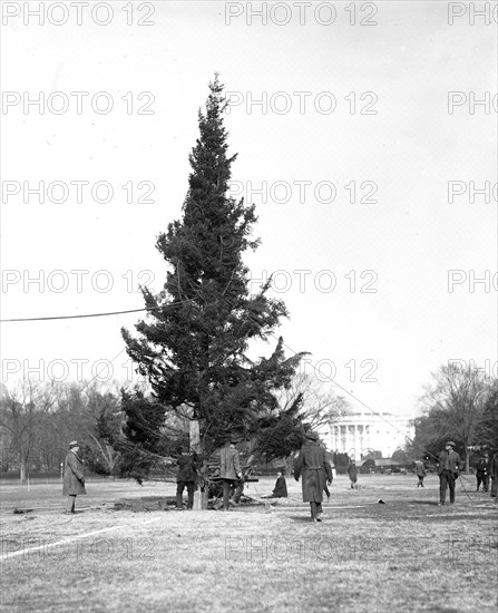 Christmas tree outside White House ca. 1923