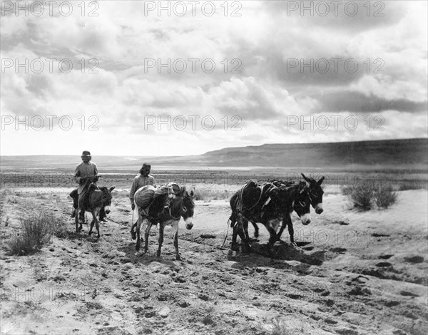 Edward S. Curtis Native American Indians