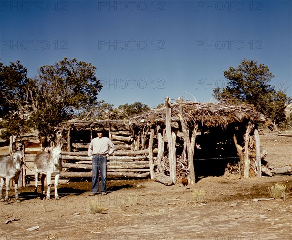 Homesteader with his work