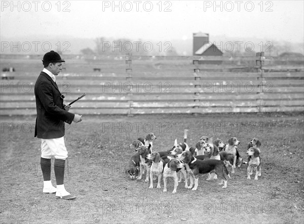 Raymond Belmont at the National Beagle Club of America