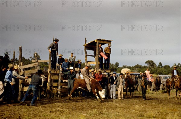 Rodeo at small town New Mexico Fair