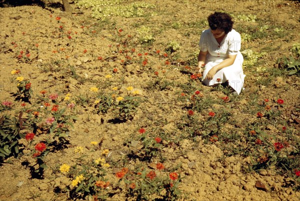 Woman in her garden