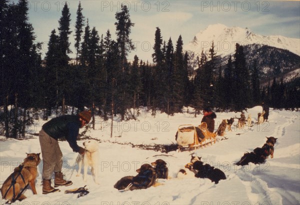 Gates of the Arctic - Camp near Bullrum Creek, John River Valley, ca. 1975