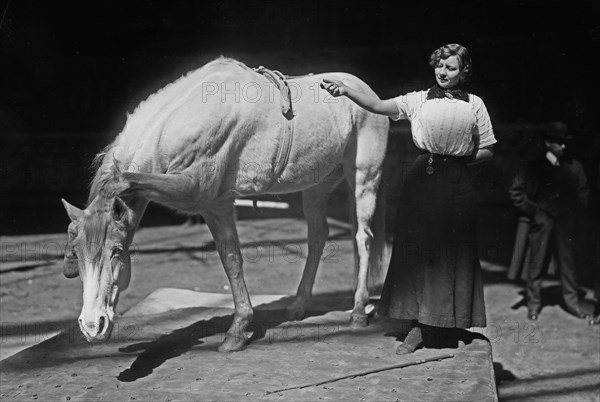 Barnum-Bailey Show - Model Artist Horse Posing ca. 1910-1915