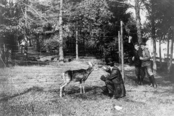 Man feeding a deer at the National Zoo, Washington, D.C. ca. 1909-1932