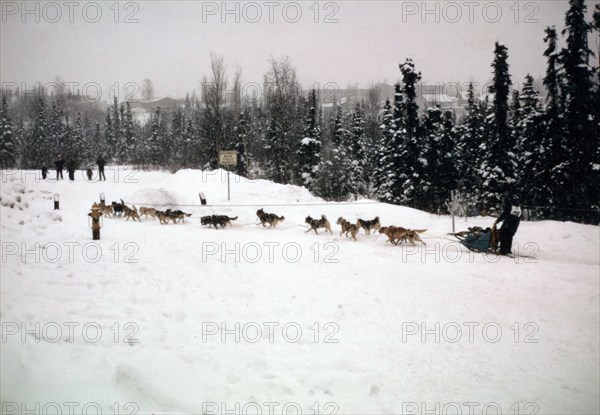 Starting Line-1974 Iditarod Race ca. March 1974