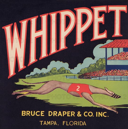 Whippet Brand