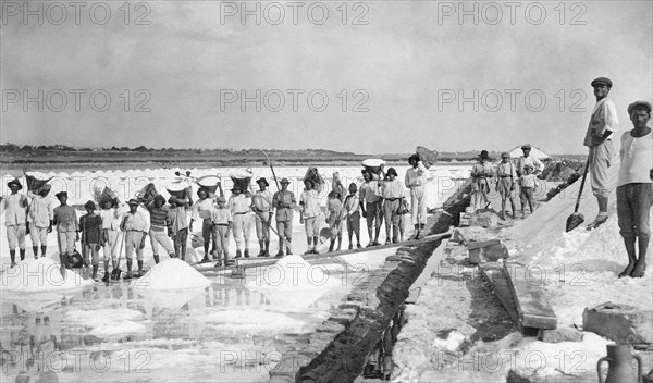 italy, sicily, marsala, salt flat of inversa 1800-1900